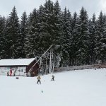 phoca_thumb_m_lye 2.den  46 Fotogalerie